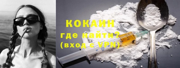прущие грибы Зеленокумск