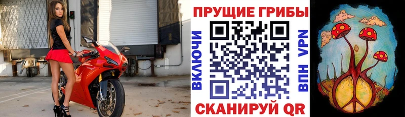 Галлюциногенные грибы ЛСД  Сосногорск 